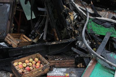 Kliknij aby obejrzeć w pełnym rozmiarze