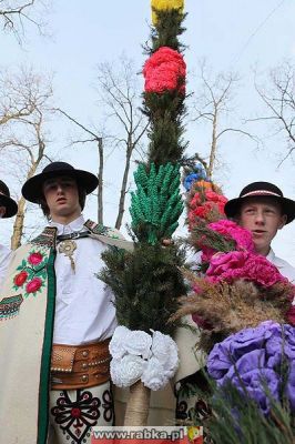 Kliknij aby obejrzeć w pełnym rozmiarze