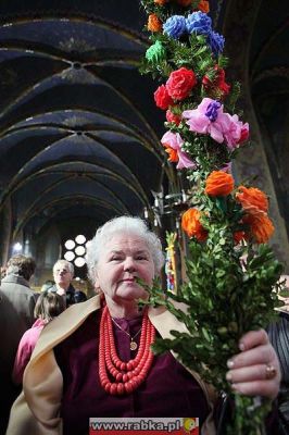 Kliknij aby obejrzeć w pełnym rozmiarze