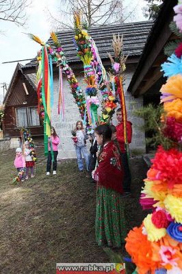 Kliknij aby obejrzeć w pełnym rozmiarze