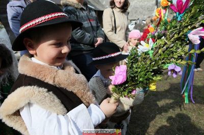 Kliknij aby obejrzeć w pełnym rozmiarze