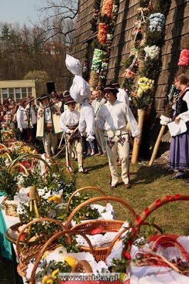 Kliknij aby obejrzeć w pełnym rozmiarze