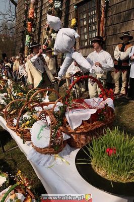 Kliknij aby obejrzeć w pełnym rozmiarze