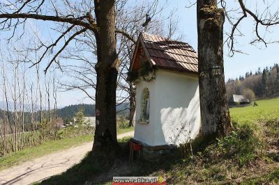 Kliknij aby obejrzeć w pełnym rozmiarze