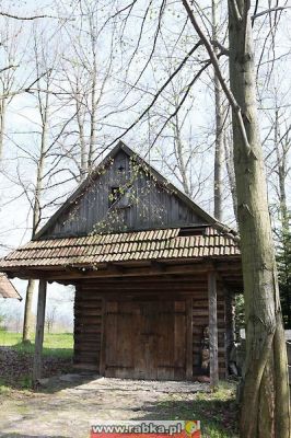 Kliknij aby obejrzeć w pełnym rozmiarze