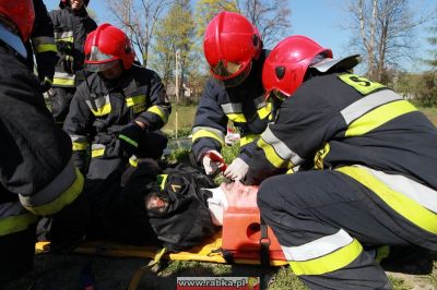 Kliknij aby obejrzeć w pełnym rozmiarze