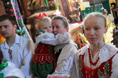 Kliknij aby obejrzeć w pełnym rozmiarze