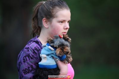 Kliknij aby obejrzeć w pełnym rozmiarze