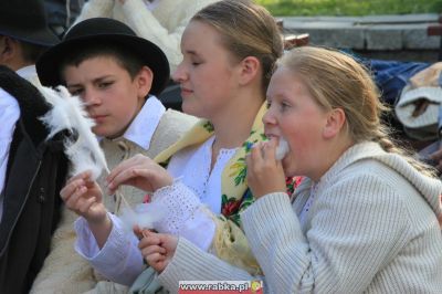 Kliknij aby obejrzeć w pełnym rozmiarze