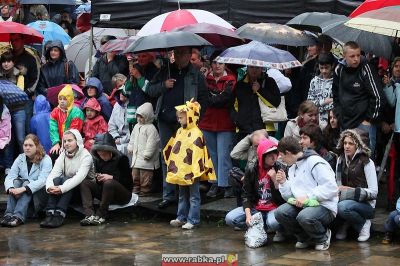 Kliknij aby obejrzeć w pełnym rozmiarze