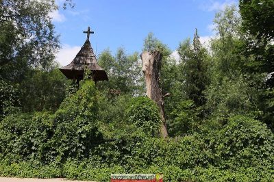 Kliknij aby obejrzeć w pełnym rozmiarze