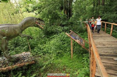 Kliknij aby obejrzeć w pełnym rozmiarze