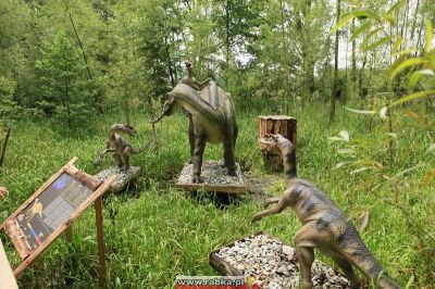 Kliknij aby obejrzeć w pełnym rozmiarze