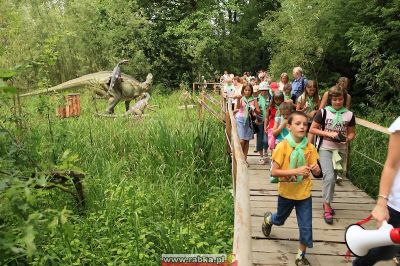 Kliknij aby obejrzeć w pełnym rozmiarze