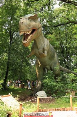 Kliknij aby obejrzeć w pełnym rozmiarze