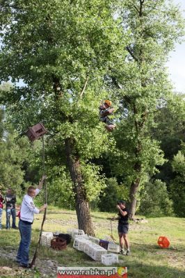 Kliknij aby obejrzeć w pełnym rozmiarze