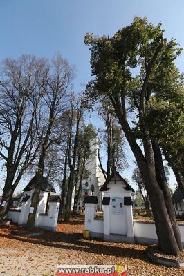 Kliknij aby obejrzeć w pełnym rozmiarze