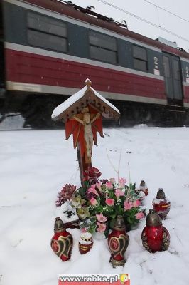 Kliknij aby obejrzeć w pełnym rozmiarze