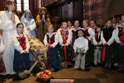 Kliknij aby obejrzeć w pełnym rozmiarze