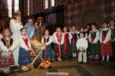 Kliknij aby obejrzeć w pełnym rozmiarze