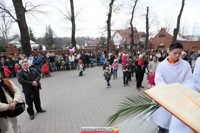 Kliknij aby obejrzeć w pełnym rozmiarze