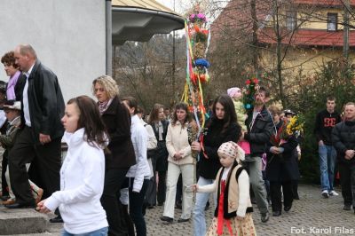 Kliknij aby obejrzeć w pełnym rozmiarze