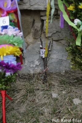 Kliknij aby obejrzeć w pełnym rozmiarze