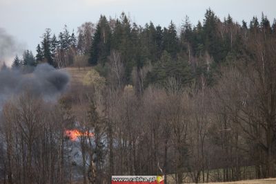 Kliknij aby obejrzeć w pełnym rozmiarze