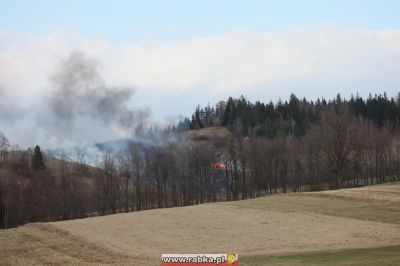 Kliknij aby obejrzeć w pełnym rozmiarze
