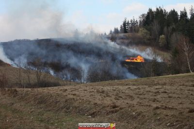 Kliknij aby obejrzeć w pełnym rozmiarze