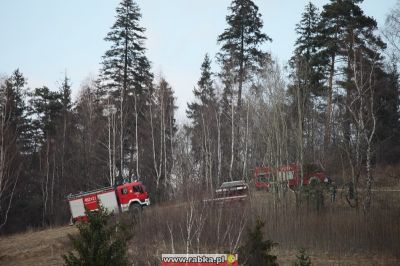 Kliknij aby obejrzeć w pełnym rozmiarze