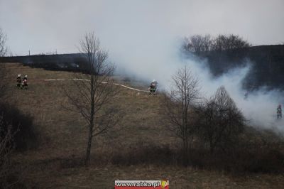 Kliknij aby obejrzeć w pełnym rozmiarze