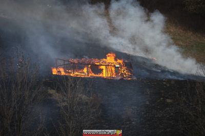 Kliknij aby obejrzeć w pełnym rozmiarze