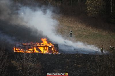 Kliknij aby obejrzeć w pełnym rozmiarze