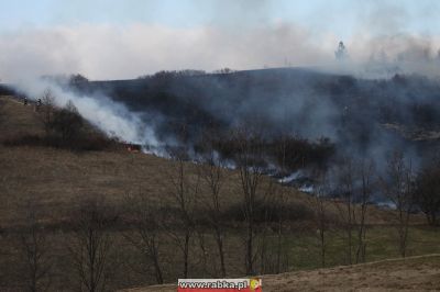 Kliknij aby obejrzeć w pełnym rozmiarze