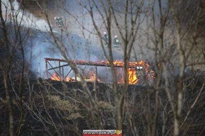 Kliknij aby obejrzeć w pełnym rozmiarze