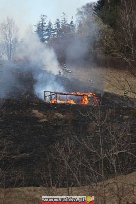 Kliknij aby obejrzeć w pełnym rozmiarze