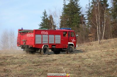 Kliknij aby obejrzeć w pełnym rozmiarze