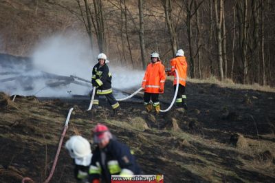 Kliknij aby obejrzeć w pełnym rozmiarze