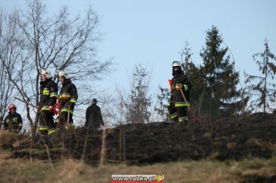 Kliknij aby obejrzeć w pełnym rozmiarze