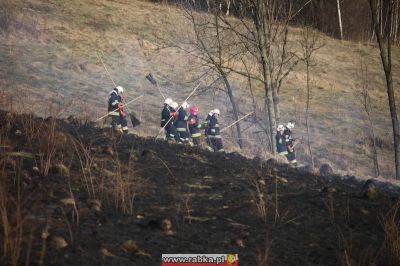 Kliknij aby obejrzeć w pełnym rozmiarze