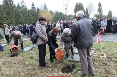 Kliknij aby obejrzeć w pełnym rozmiarze