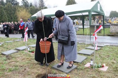 Kliknij aby obejrzeć w pełnym rozmiarze