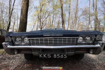 Kliknij aby obejrzeć w pełnym rozmiarze