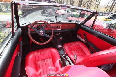 Kliknij aby obejrzeć w pełnym rozmiarze