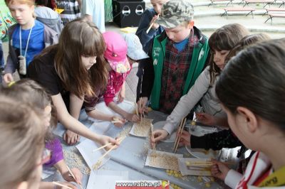 Kliknij aby obejrzeć w pełnym rozmiarze