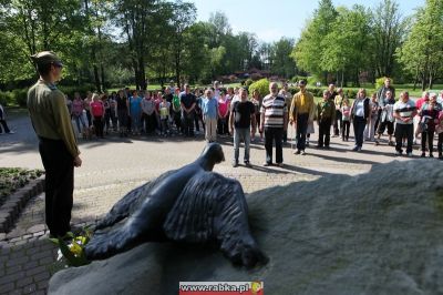 Kliknij aby obejrzeć w pełnym rozmiarze