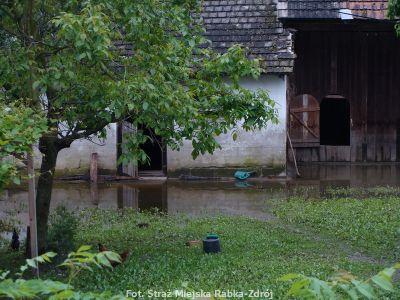 Kliknij aby obejrzeć w pełnym rozmiarze