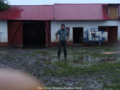 Kliknij aby obejrzeć w pełnym rozmiarze