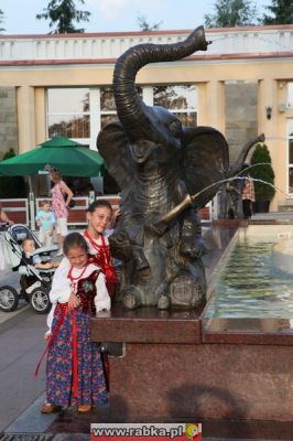 Kliknij aby obejrzeć w pełnym rozmiarze